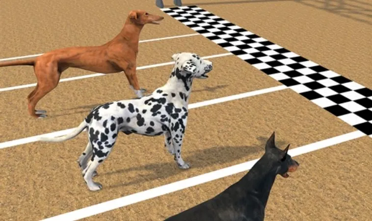 Bí Quyết Chinh Phục Game Nhanh Đua Chó Tại Luck8: Hành Trang Thắng Lớn