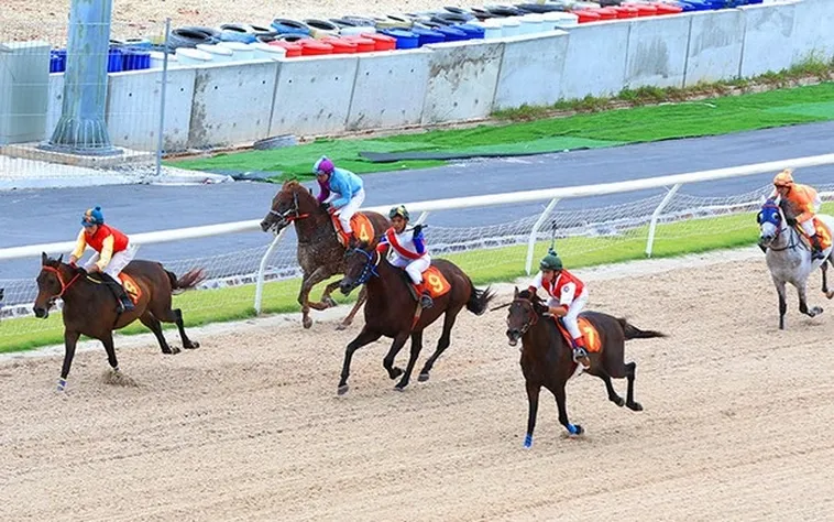 Bí Quyết Thành Công Với Cá Cược Đua Ngựa Luck8 2 Bí Quyết Thành Công Với Cá Cược Đua Ngựa Luck8